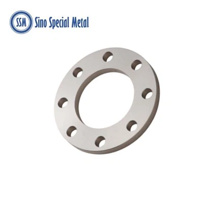 Flange piatte Hastelloy in lega B2 DIN 2573 2576 2502 2503 per saldatura