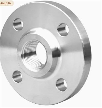 304 316 316L Flangia a vite filettata AISI 150 RF FM BSP NPT