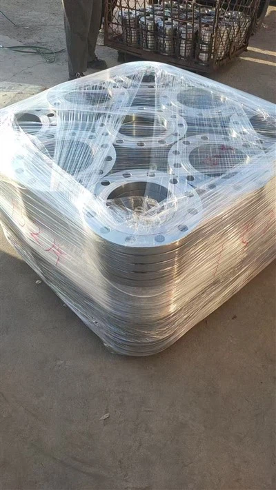 Flangia in acciaio inossidabile 316 con presa saldata a faccia rialzata (SO RF) DN500